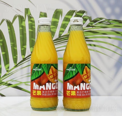 âͺϹ֭300ml